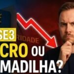 Análise do lucro da BB Seguridade para entender se as ações BBSE3 dividendos são sustentáveis no longo prazo.